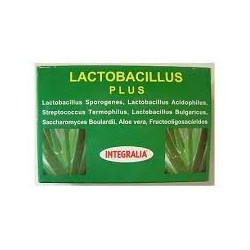 Lactobacilus Plus 60 cápsulas.